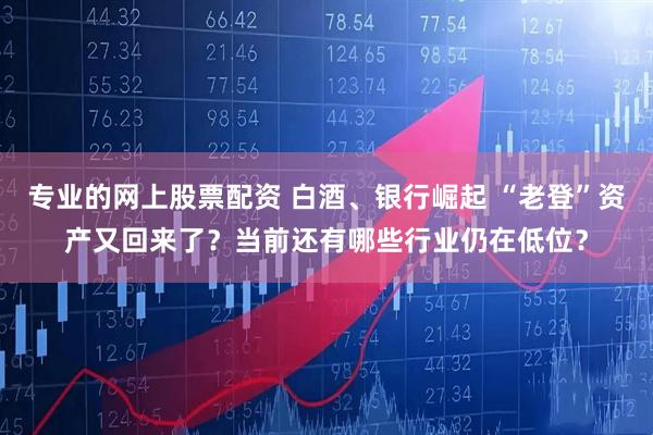 专业的网上股票配资 白酒、银行崛起 “老登”资产又回来了？当前还有哪些行业仍在低位？